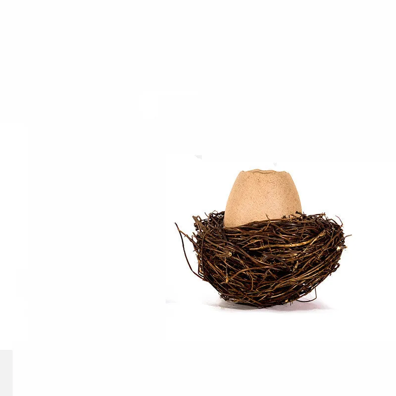 Ice Cream Bowl Egg Ostrich Eggshell Bowl