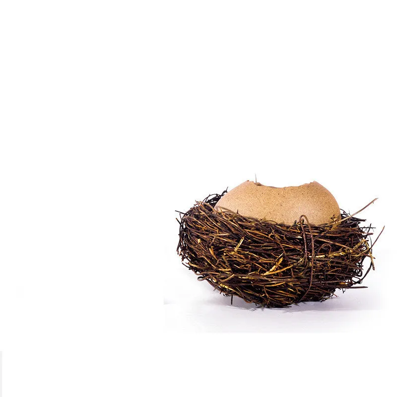 Ice Cream Bowl Egg Ostrich Eggshell Bowl