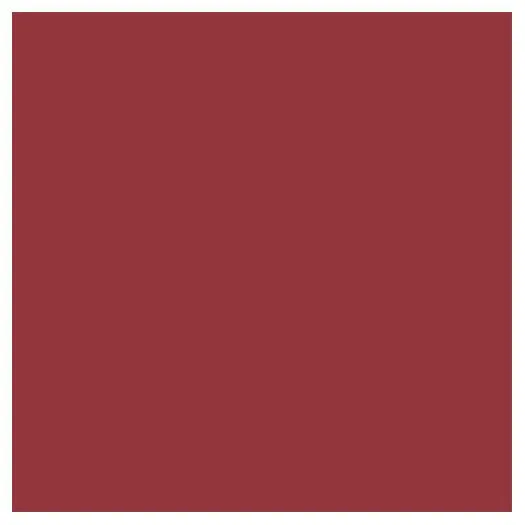 L'OREAL Colour Riche Lip Colour - Intense Plum #374